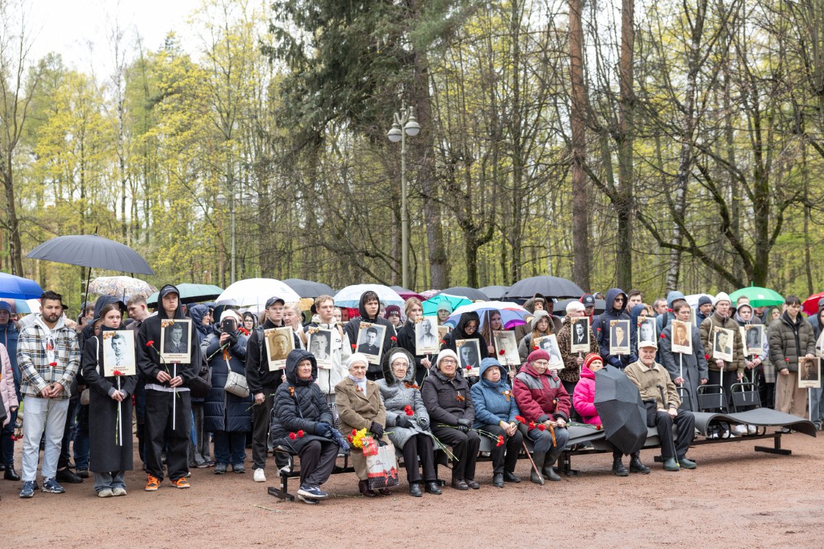 Памятная акция к 80-летию Победы в Великой Отечественной войне