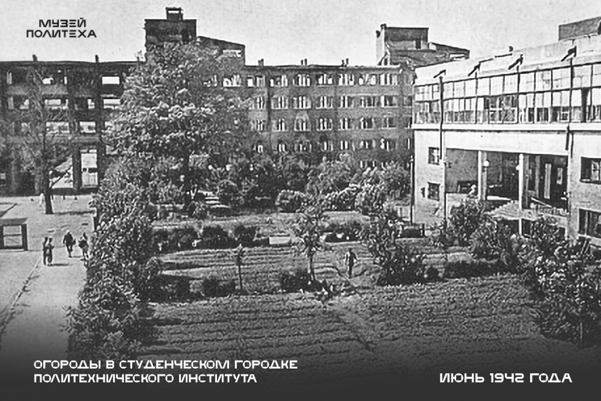 Огороды в Студенческом городке во время ВОВ